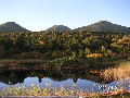 s_PICT0064s.png